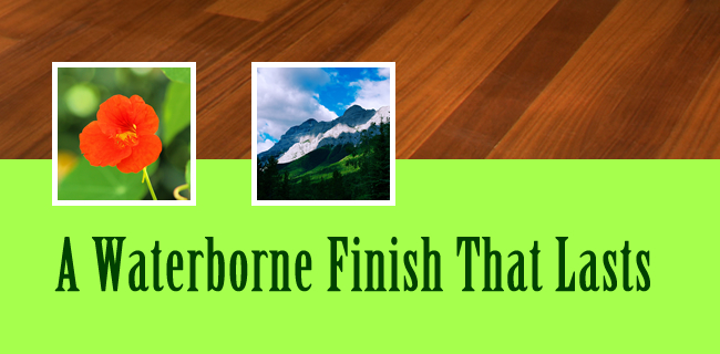Sanding and Finishing Hardwood Vancouver, Residential Water Based Floor Finishing Service, Whistler, White Rock, Burnaby, Coquitlam